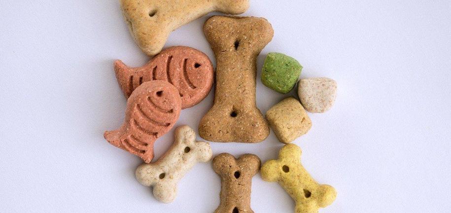 How To Make Dog Treats At Home And Store It For Months